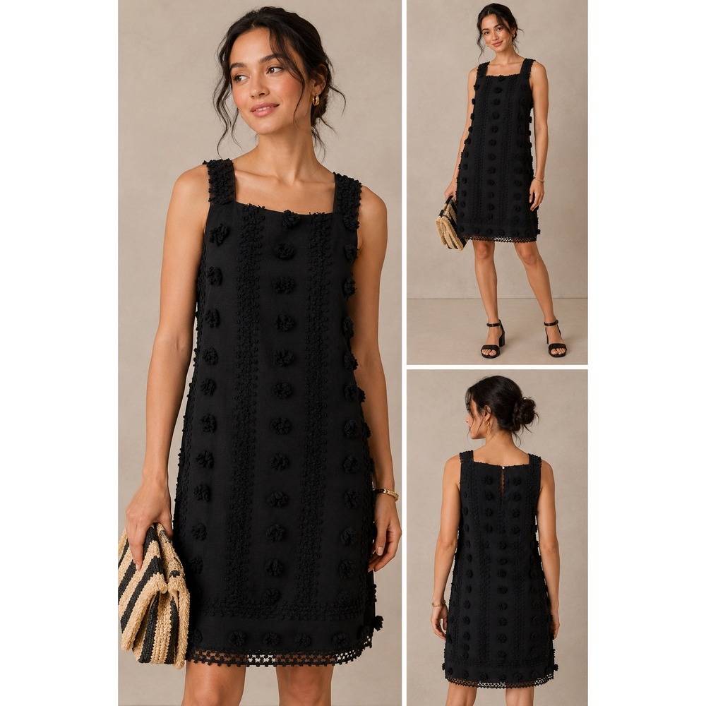 Anthropologie Sunday In Brooklyn Mischa Embroidered Shift Dress Medium Black